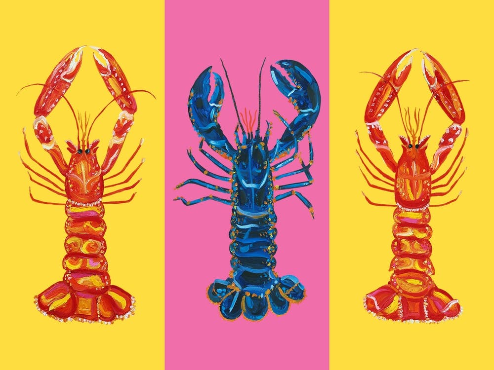 Lobster Raspberry Yellow Pop Art