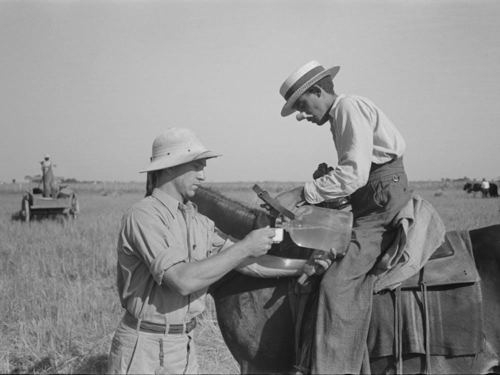 Rice Farmer Getting Drink Of Water From Water Boy On Farm Near Crowley, Louisiana By Russell Lee