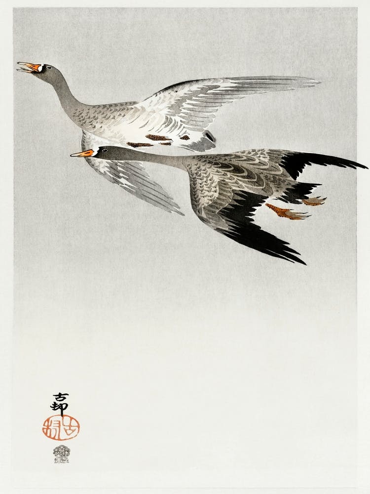 Great Geese, Flying In The Snow (1900 1910), Ohara Koson