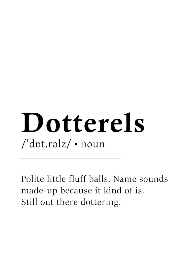 Dotterels Definition Poster - Dictionary