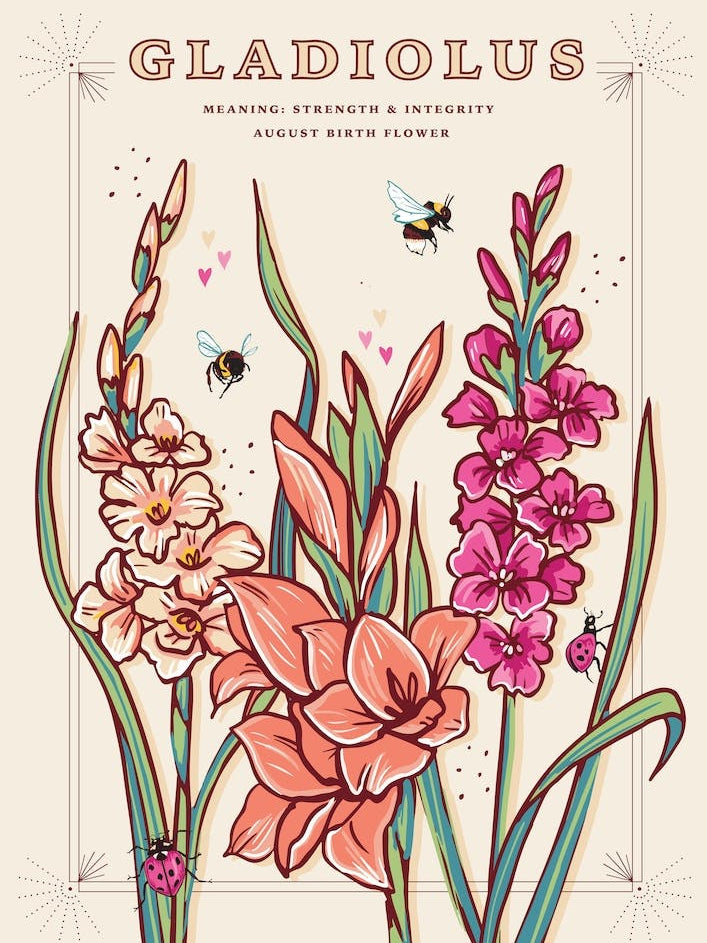 August Birth Flower Gladiolus On Cream