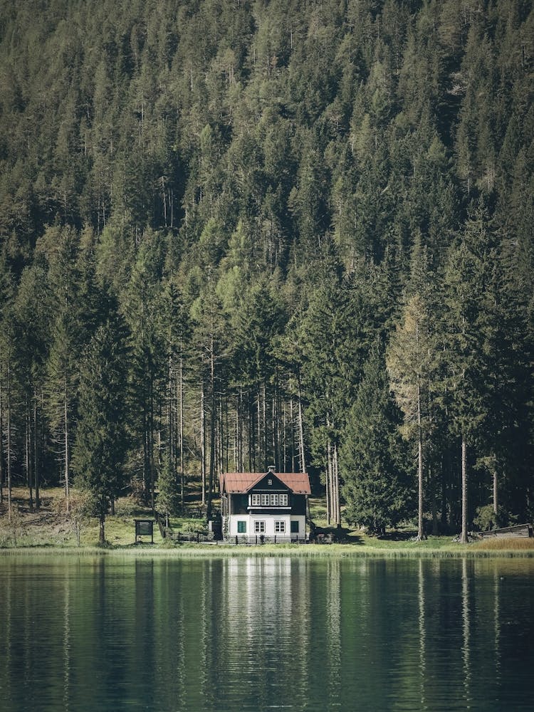Dolomites, Italy I Wooden chalet on Lake Lago di Dobbiaco surrounded by green fir trees in mountains with a dark moody aesthetic photography and the authentic rustic ambience of an Alps natural misty landscape