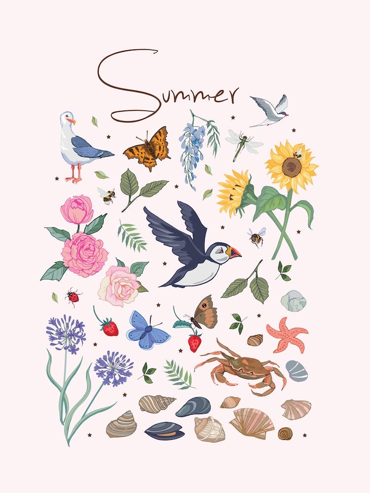 Summer Wildlife