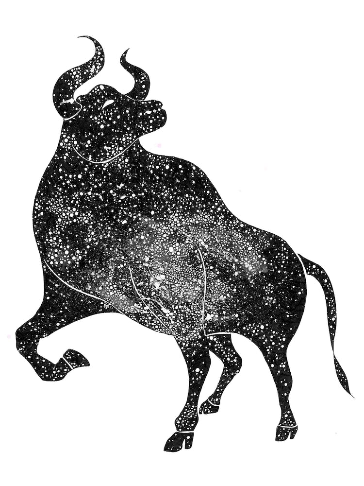 Taurus