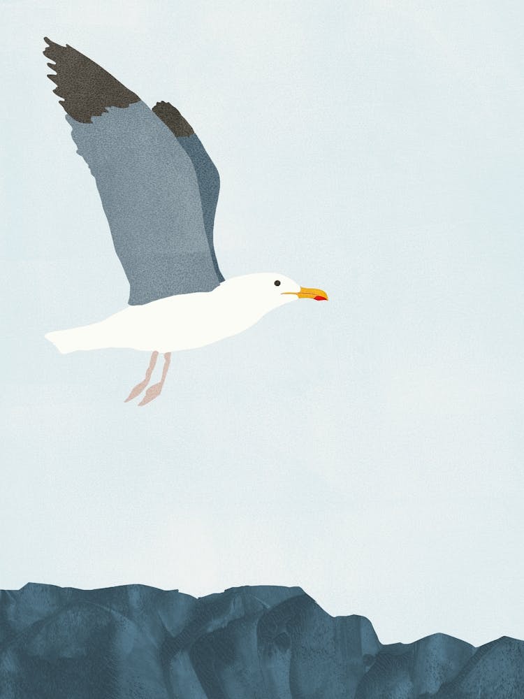 Seagull in Flight Blue and Grey Minimalist Coastal Illustration