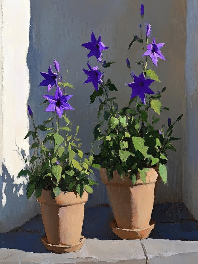 Two Purple Fuchsias