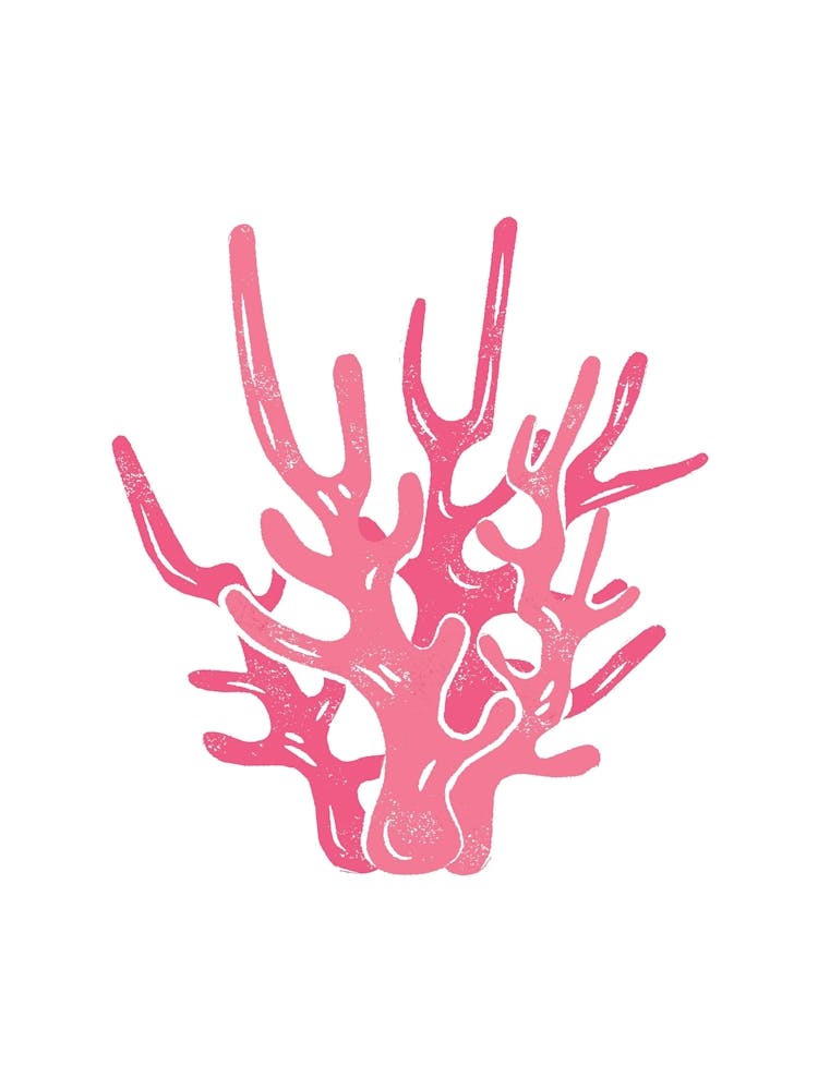 Coral Reef