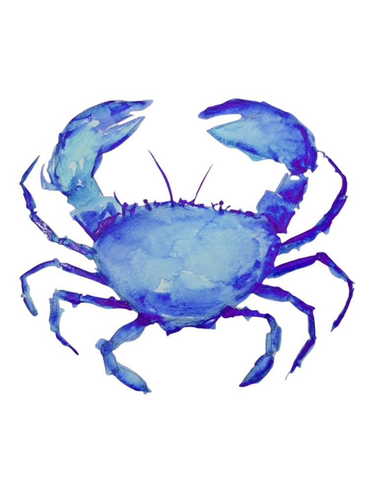 Blue Crab 1