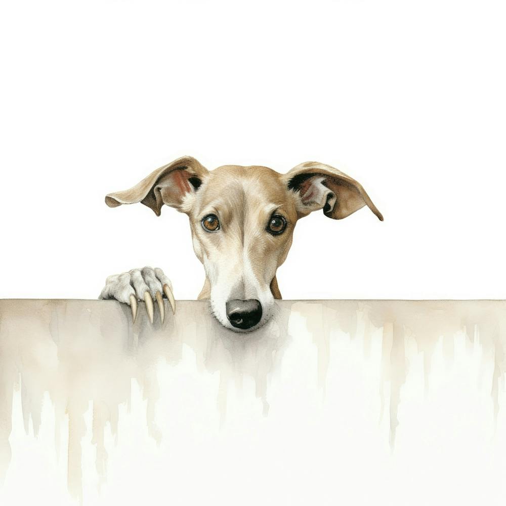Greyhound 1