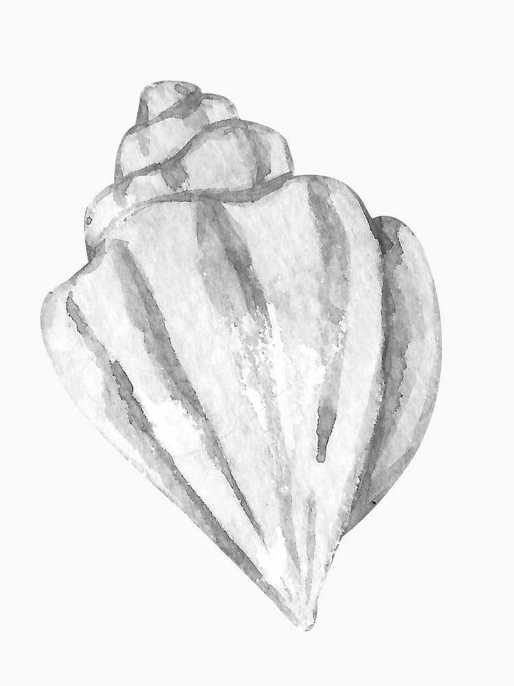 Watercolor Sea Shell