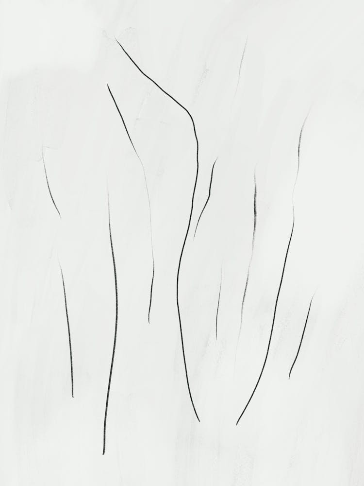 Drawing Of A Woman
