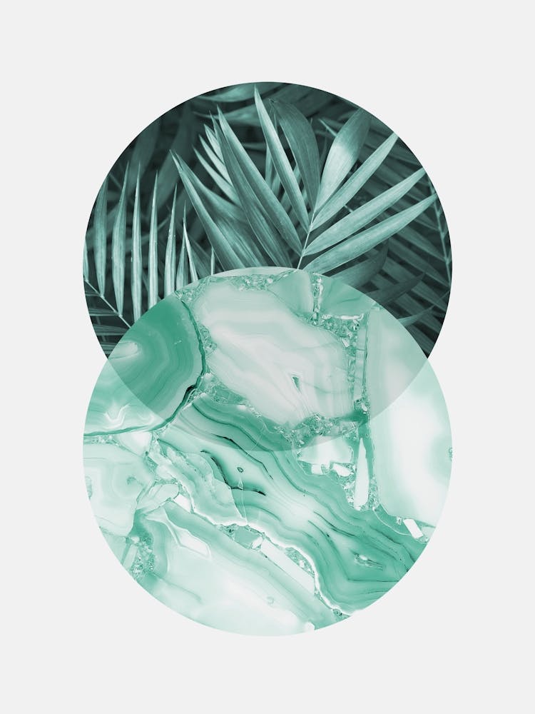 Geometric and botanical 4