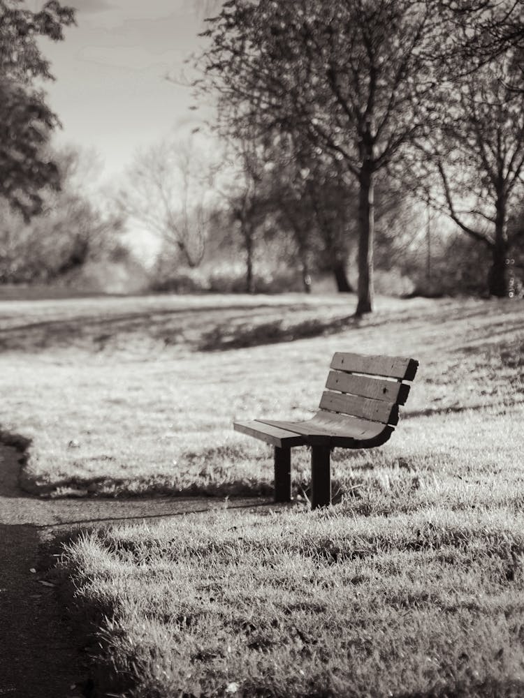 Relaxing Park Bench