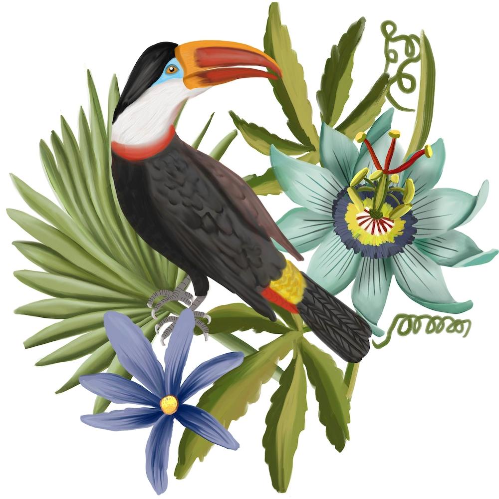 Tucan And Passionflower Square