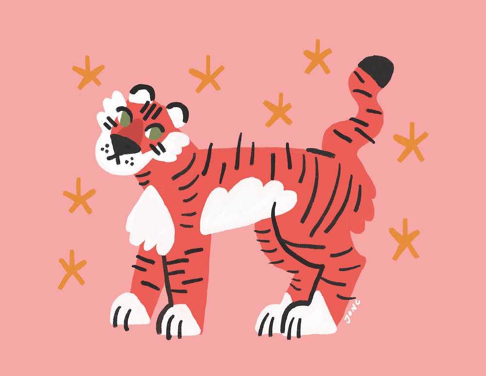Tiger Kitty