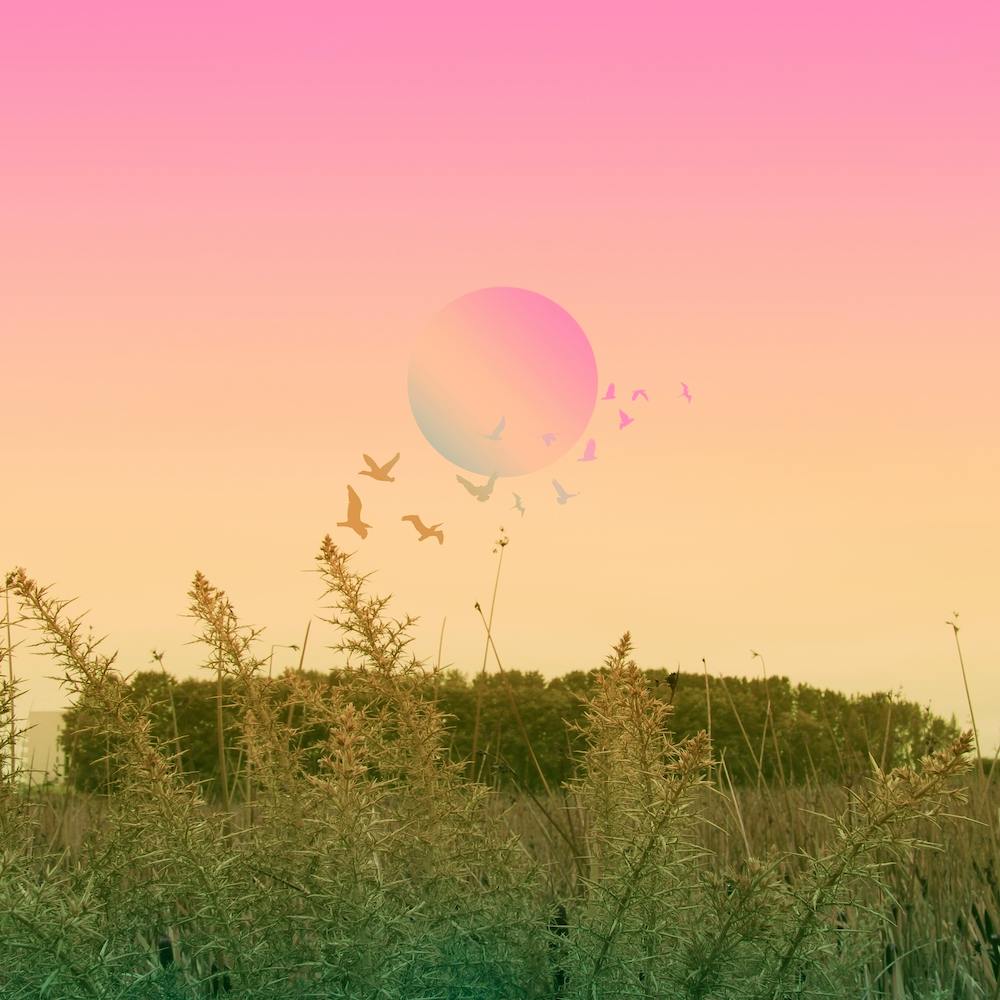 Green And Pink Landscape Square