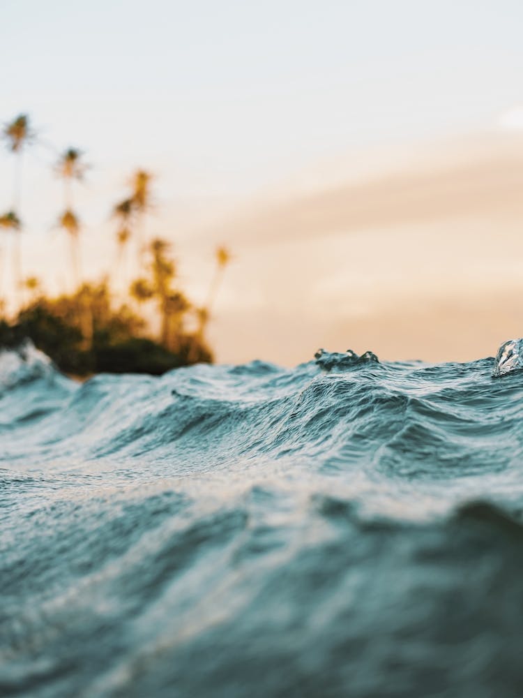 Sunset Ocean Waves
