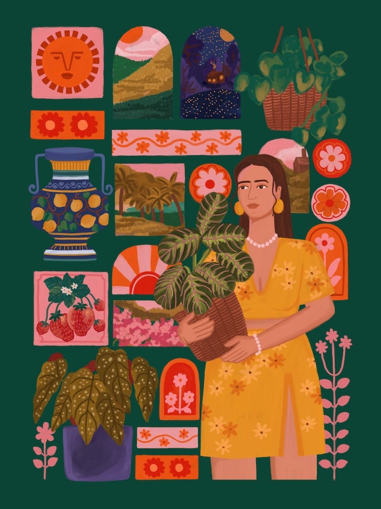 Plants And Fun Things