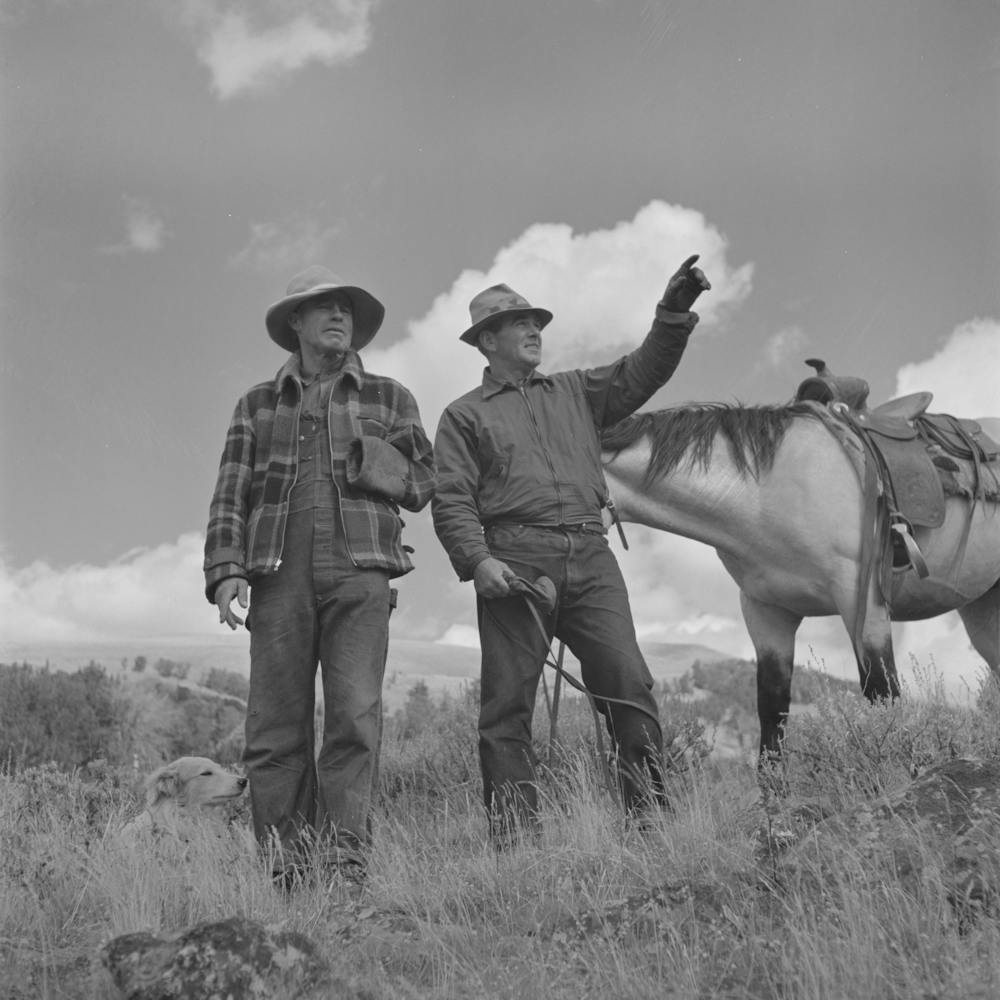 Untitled Photo, Possibly Related To Gravelly Range, Madison County, Montana, Sheep Men, This Range Is