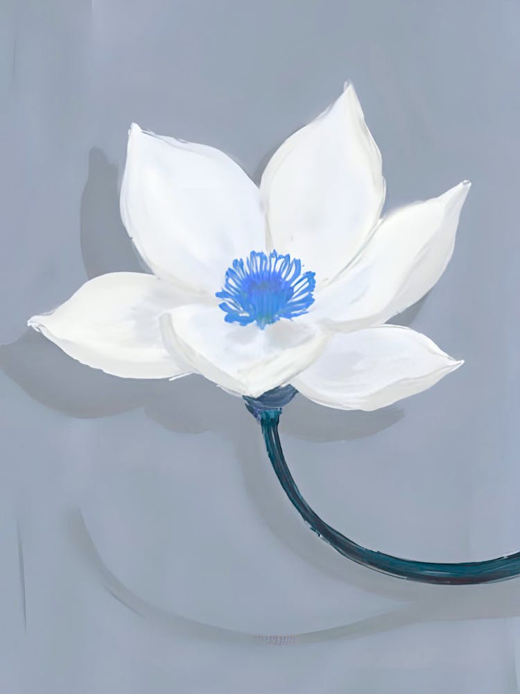 Fleur de Lotus 6