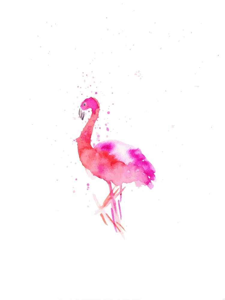 Flamingo I
