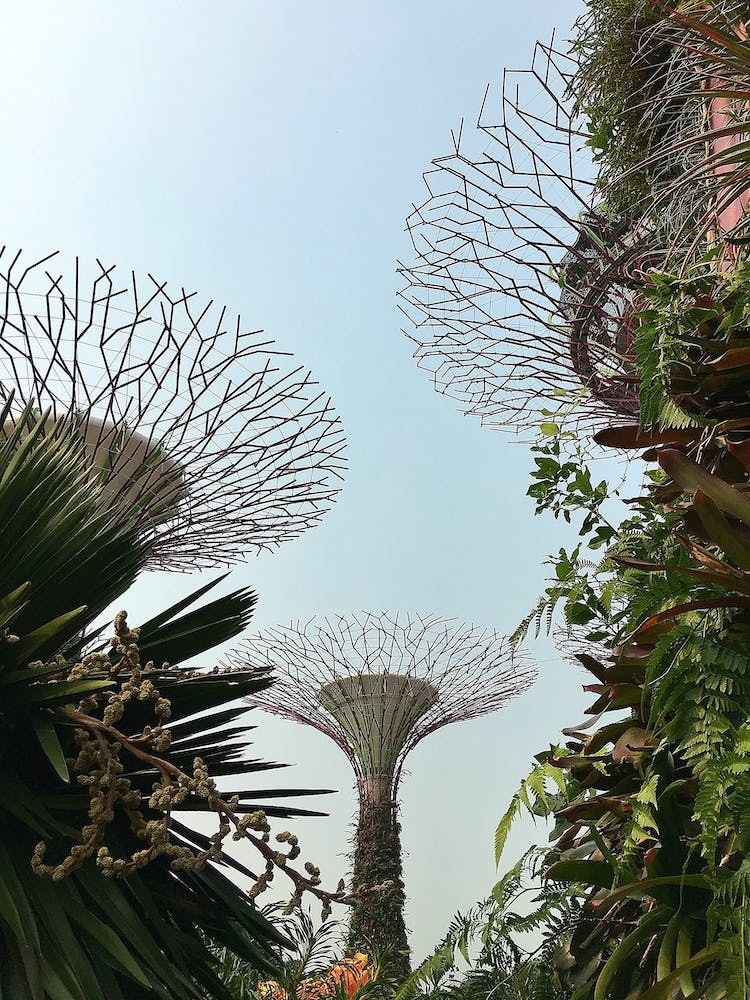 Gardens By The Bay