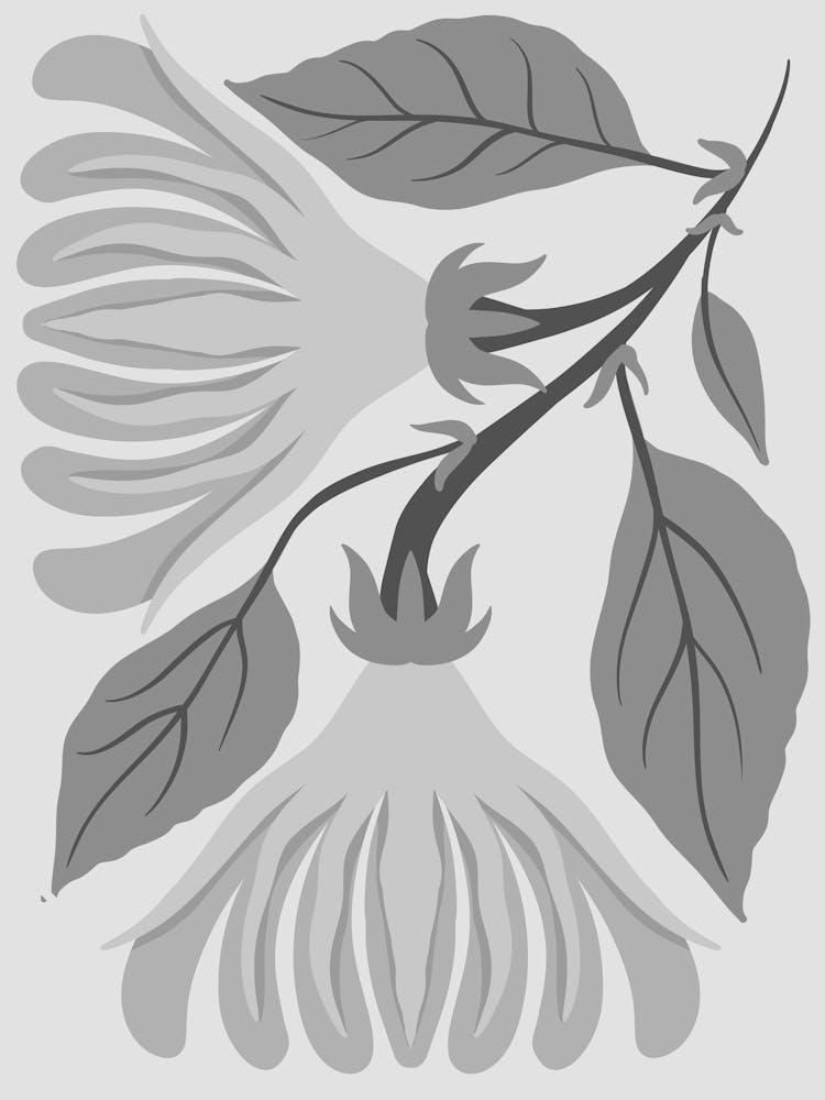 Black And White Flower 32