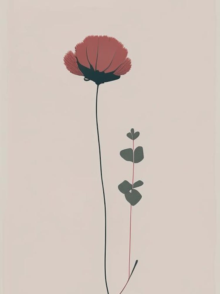 Red Clover Wildflower Simplicity