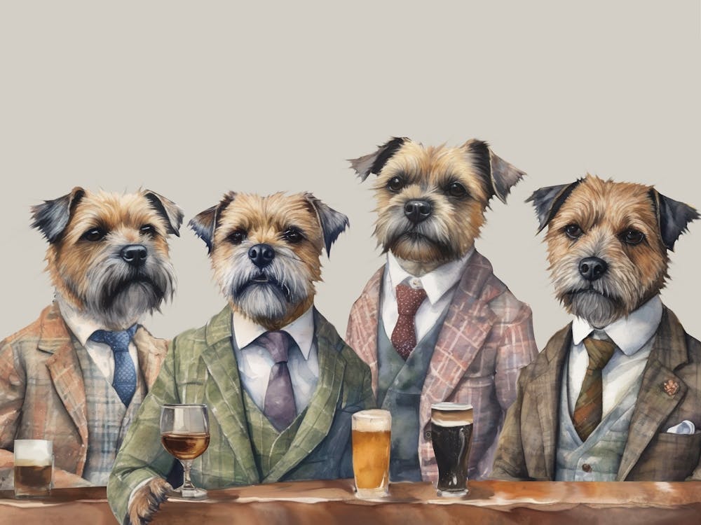 Border Terrier Party
