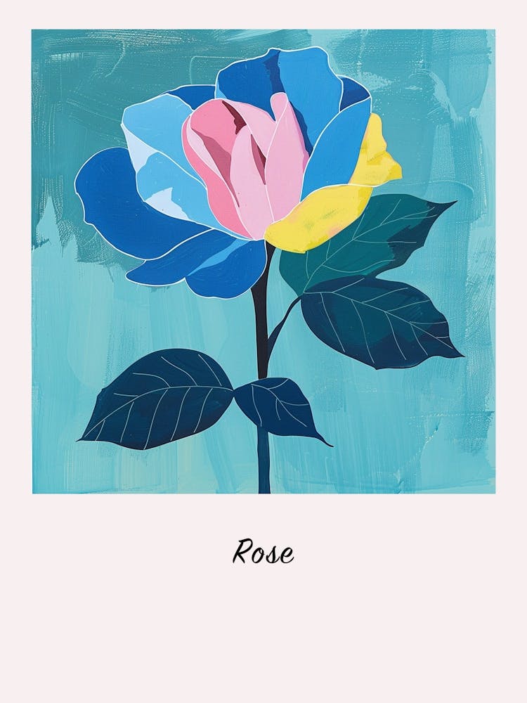 Rose 3 Square Flower Illustration Poster