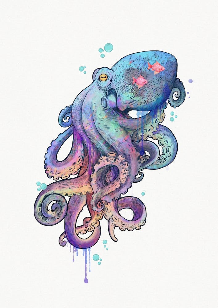 Octopus