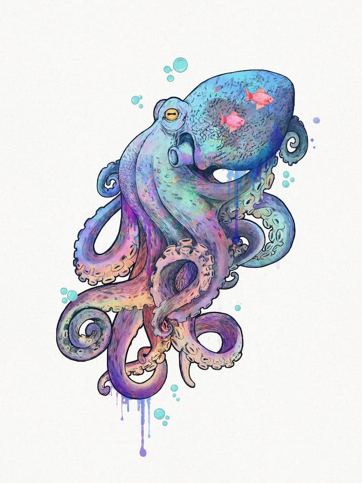Octopus