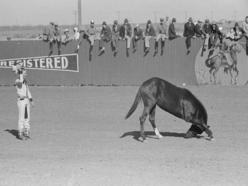 High School Horse And His Owner Trainer At The Rodeo Of The San Angelo Fat Stock Show, San Angelo, Texas By Russell Lee 1
