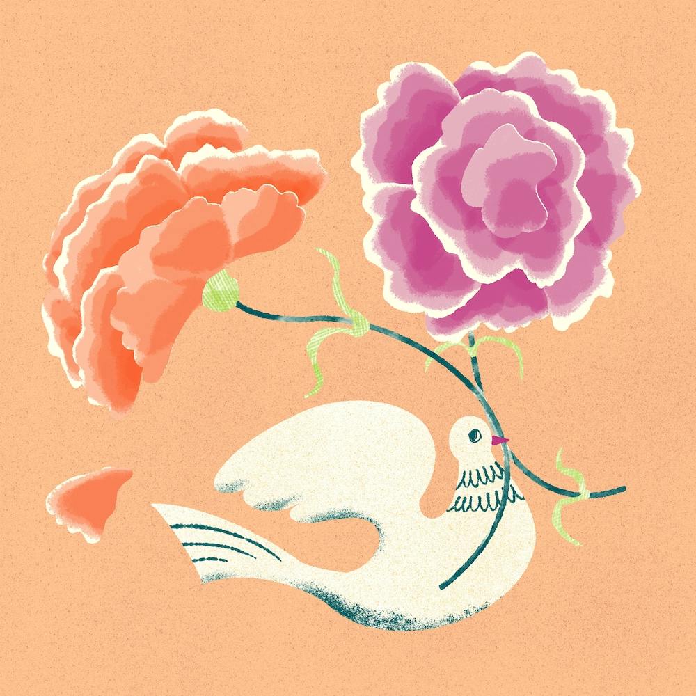 Peony Flowers And A White Dove On Pink Square