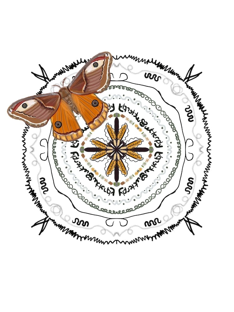 Mandala Cute Butterfly