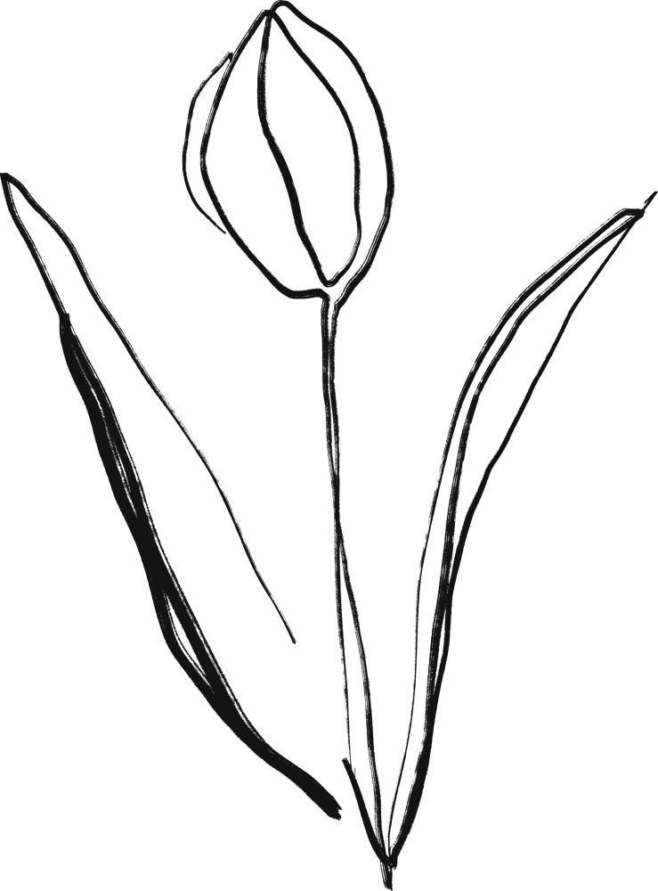 Tulip 1