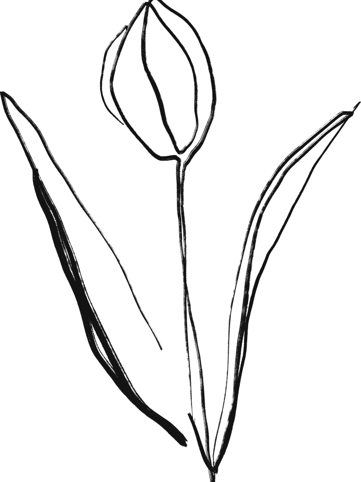 Tulip 1