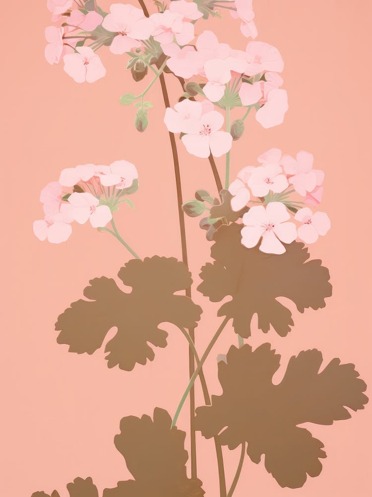 Geraniums Flower Big Bold Illustration 2