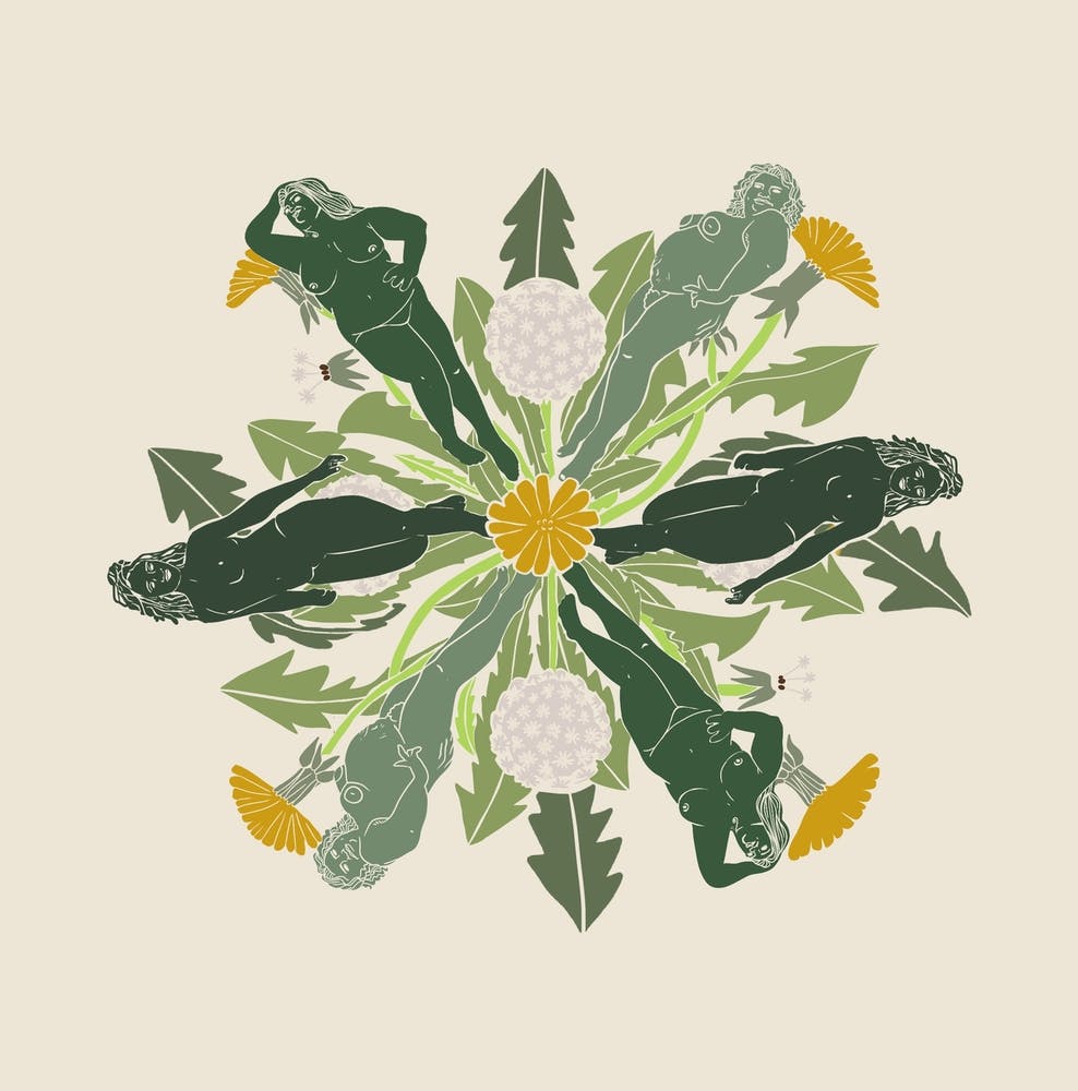 Dandelion Women