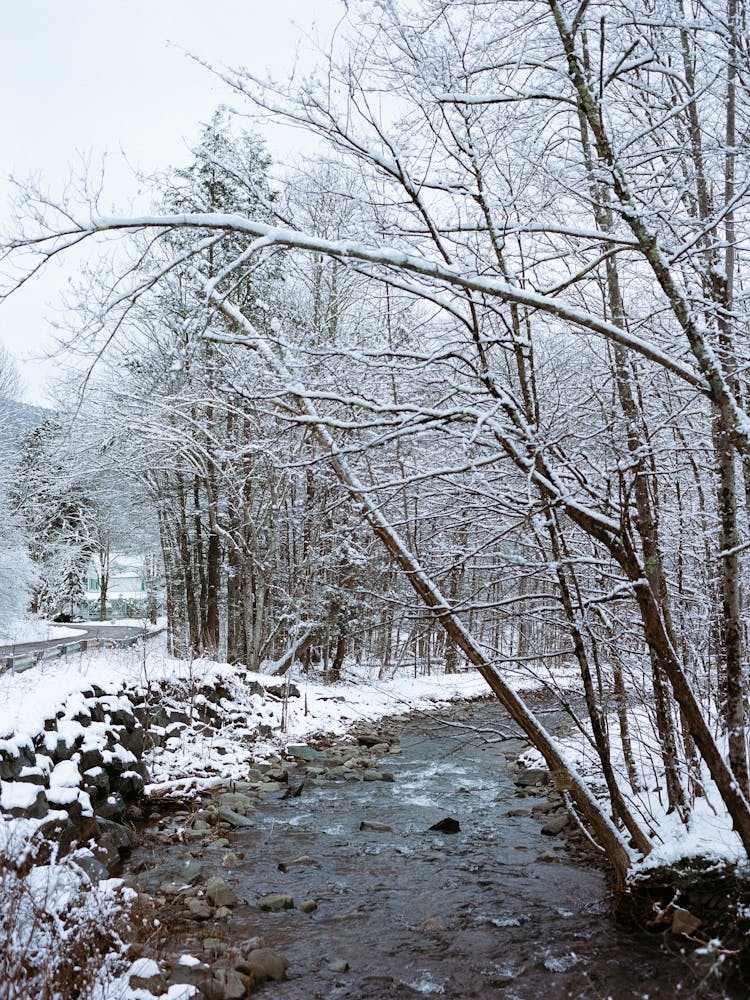 Upstate New York Snow III on Film
