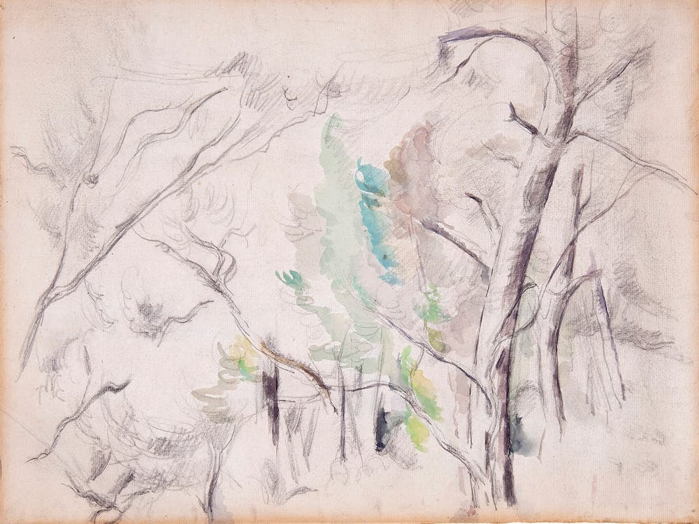 Trees, Encagnane And The Pilon Du Roi, Paul Cézanne