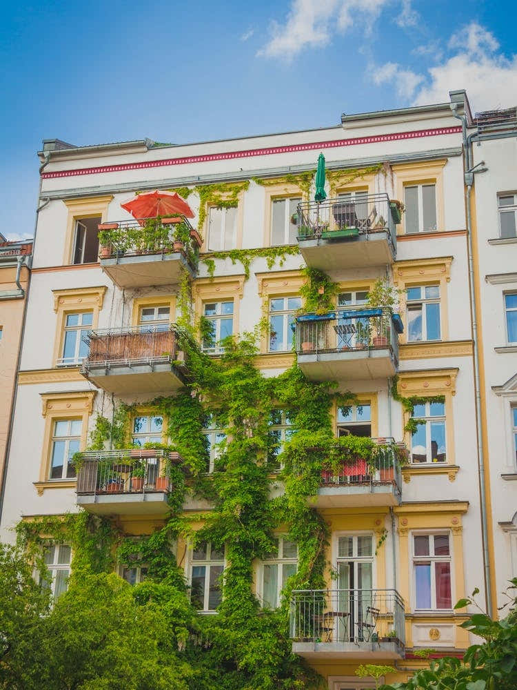 Apartment Building Covered With Green Ivy Plant In Berlin