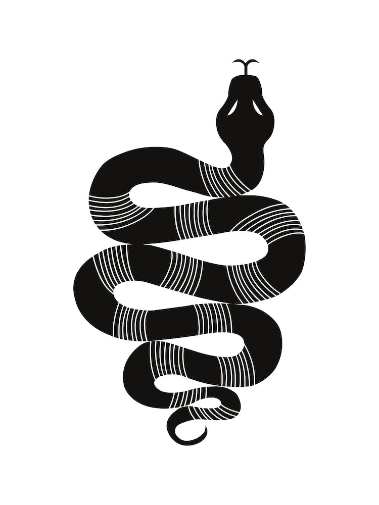 Large Snake Stripes Blk