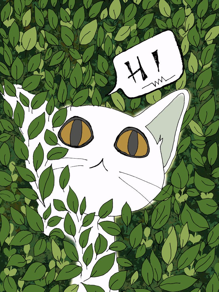 Cat In The Bushes