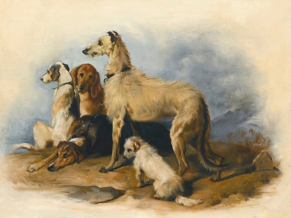 Highland Dogs, Sir Edwin Henry Landseer