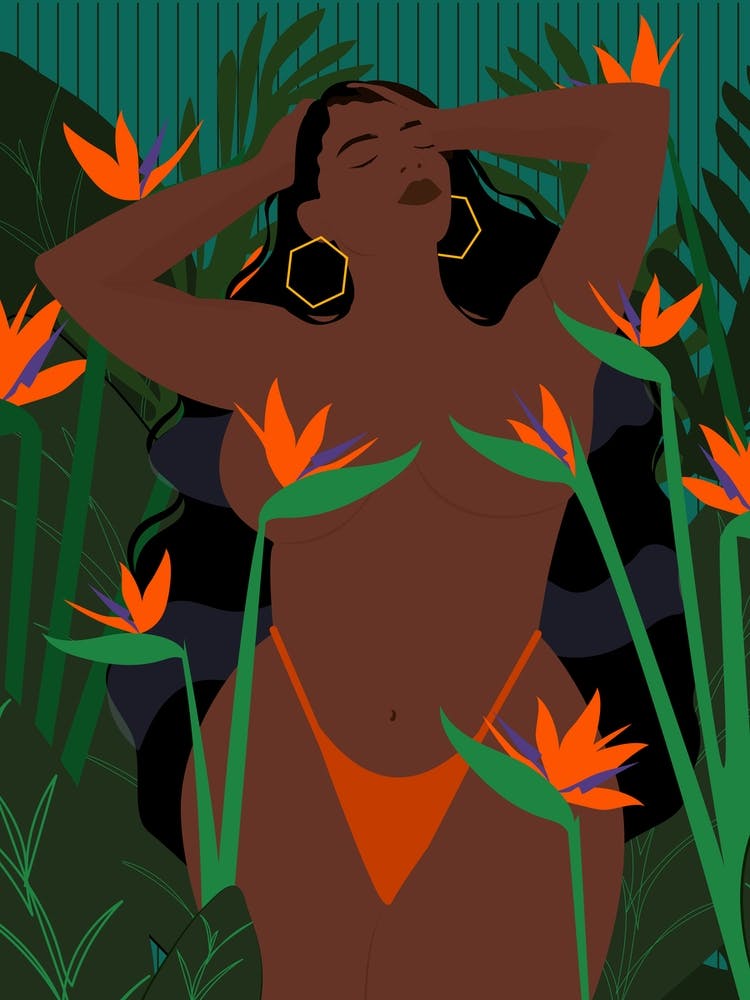 Bird Of Paradise Orange