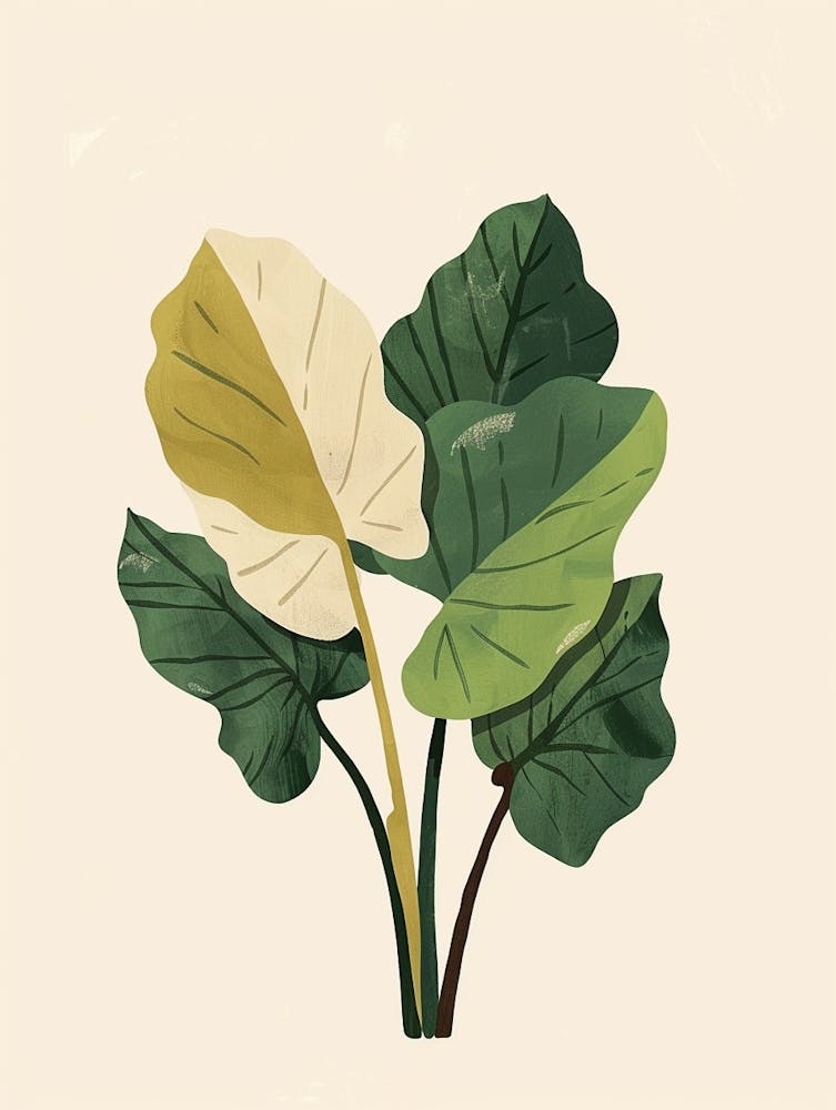 Elefantenohr-Pflanze Minimalistische Illustration 1
