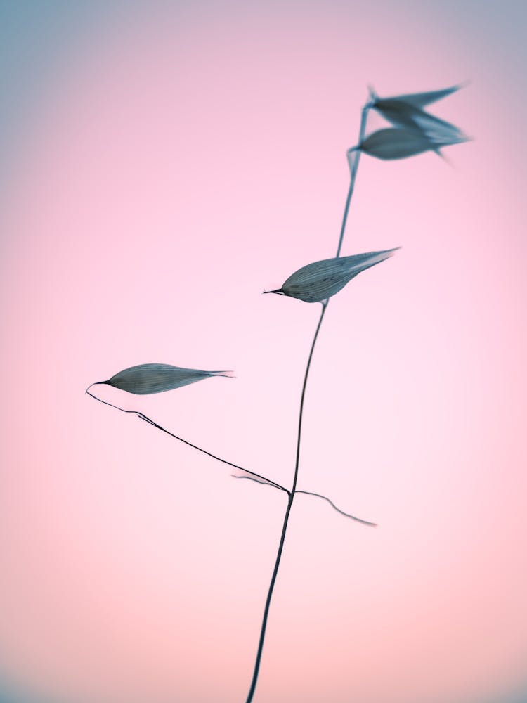 In light of current events V