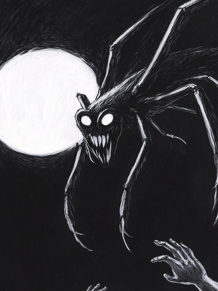 Arachnid 5