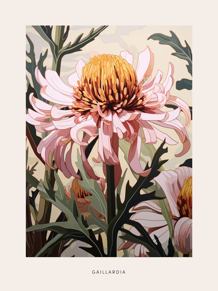 Flower Illustration Gaillardia 2 Poster